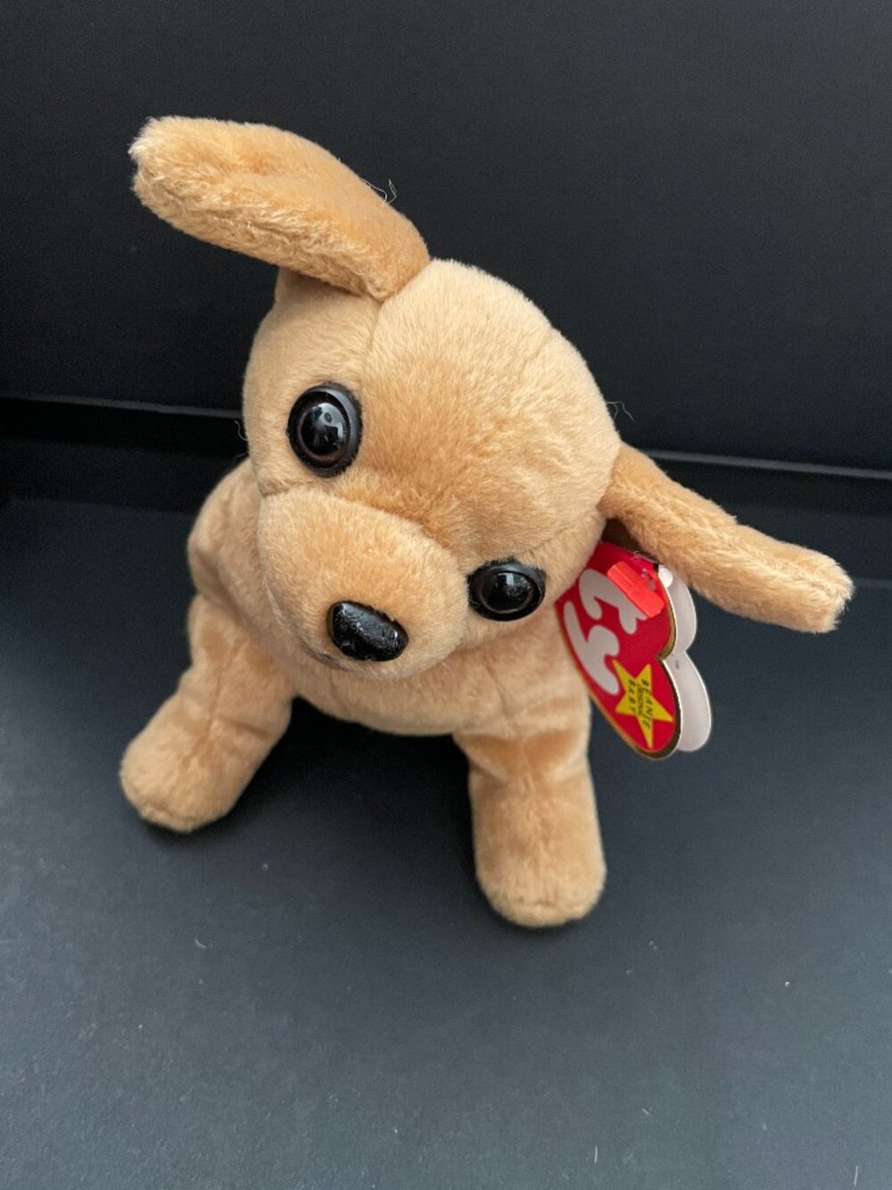 Ty Beanie Baby Tiny the Chihuahua plush-NWT